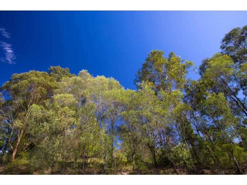 156 Cedar Creek Road, Upper Kedron QLD 4055