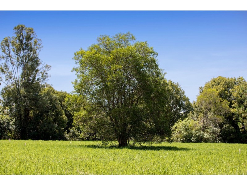 31 Coonowrin Road, Glass House Mountains QLD 4518