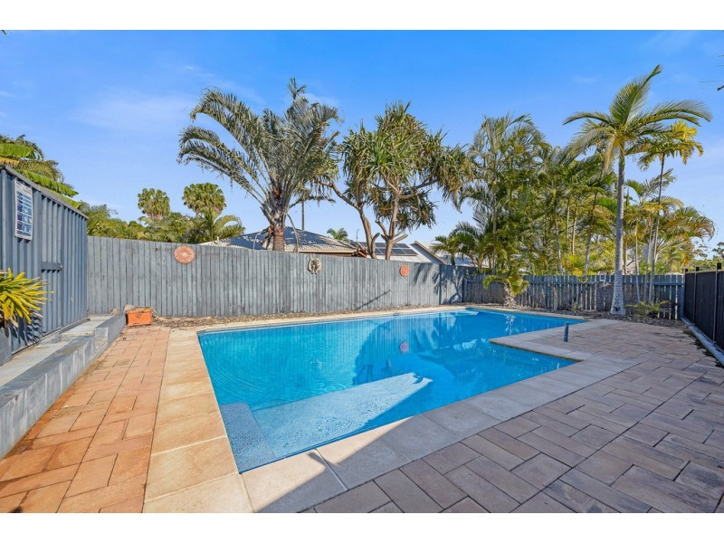 8 Greygum Court, Mooloolaba QLD 4557