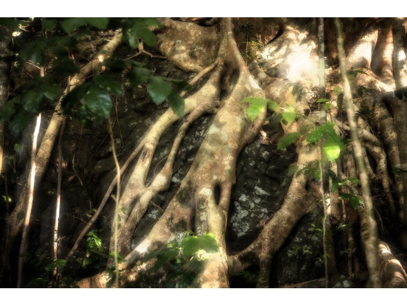 18 Kerenjon Avenue, Buderim QLD 4556