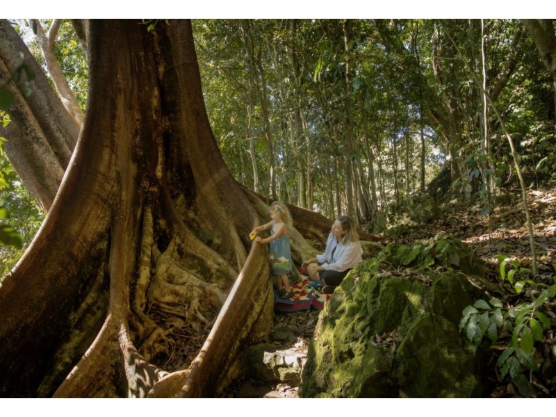 18 Kerenjon Avenue, Buderim QLD 4556