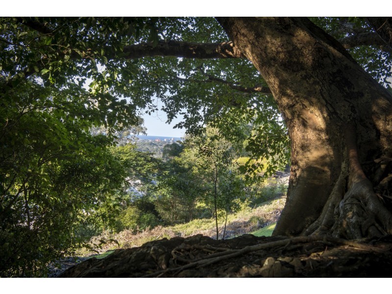 18 Kerenjon Avenue, Buderim QLD 4556