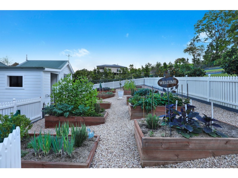 21 Songbird Place, Mooloolah Valley QLD 4553