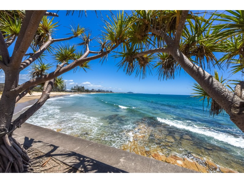 1/1 George Street, Alexandra Headland QLD 4572