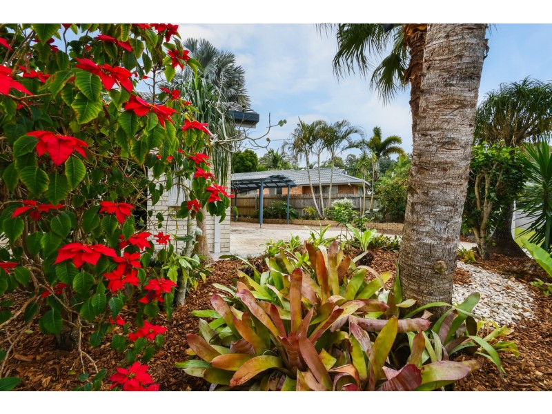 32 Buderim Pines Drive, Buderim QLD 4556