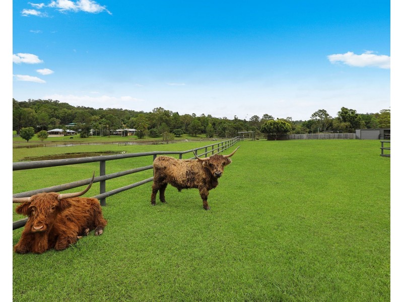 27 Hamilton Close, Mooloolah Valley QLD 4553