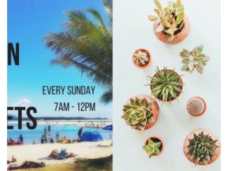 8/23 Cotton Tree Parade, Maroochydore QLD 4558