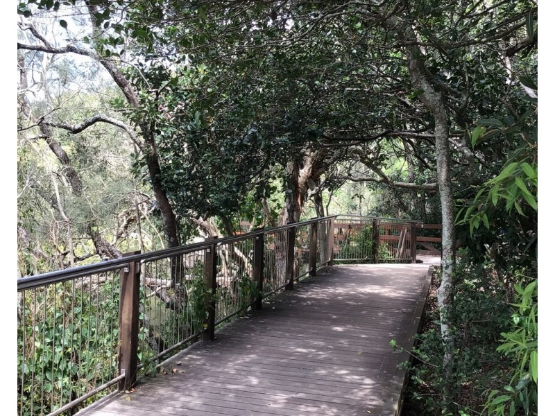 1/22 MacDonald Street, Dicky Beach QLD 4551