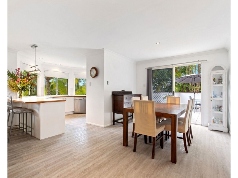 55 Gossamer Drive, Buderim QLD 4556