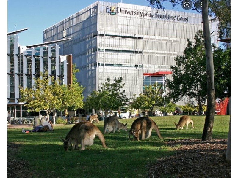 64 Windermere Way, Sippy Downs QLD 4556