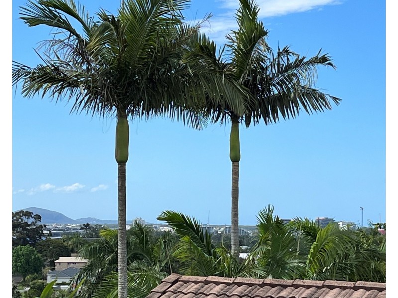 13 Deloraine Drive, Buderim QLD 4556