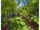 5 Satinash Place, Mudjimba QLD 4564