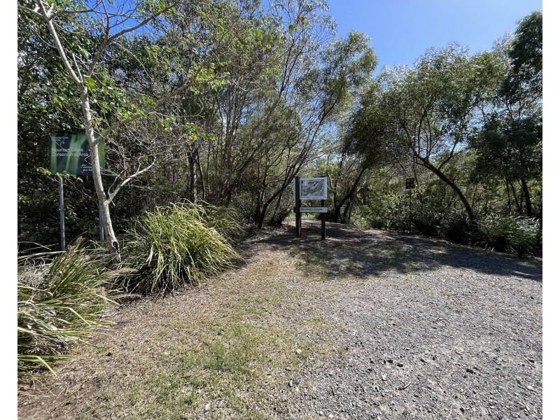 8 Coho Court, Mountain Creek QLD 4557