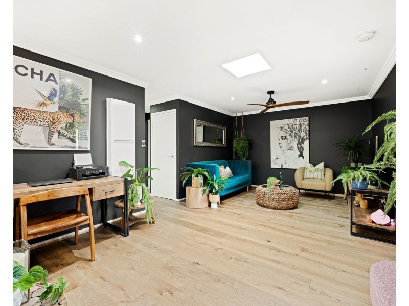 16 Sarina Place, Maroochydore QLD 4558