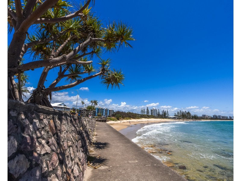 260/180 Alexandra Parade, Alexandra Headland QLD 4572
