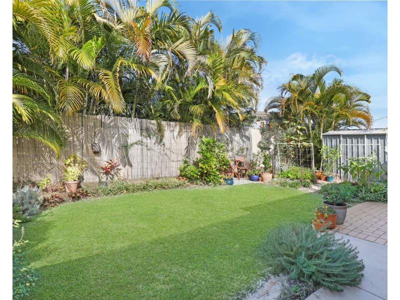 11 Kingfish Court, Mountain Creek QLD 4557