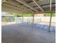 19 Woodlands Crescent, Buderim QLD 4556