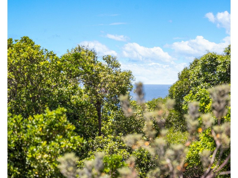 9/1 Mandin Street, Alexandra Headland QLD 4572