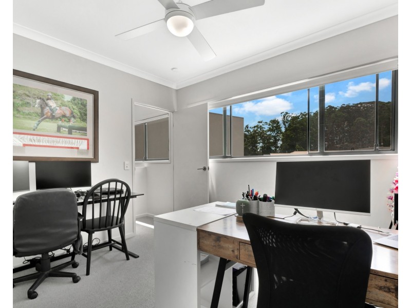 50 Palm Forest Circuit, Forest Glen QLD 4556