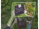30 Mace Drive, Buderim QLD 4556