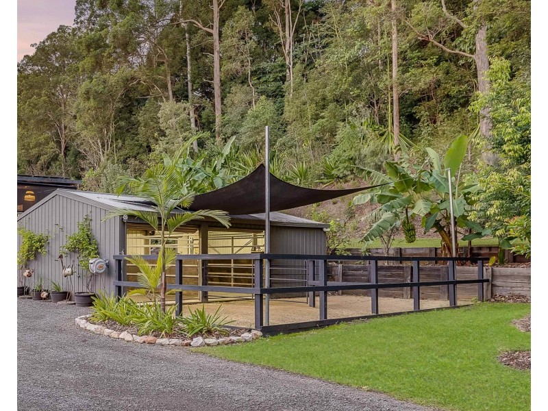 168 Diamond Valley Road, Diamond Valley QLD 4553