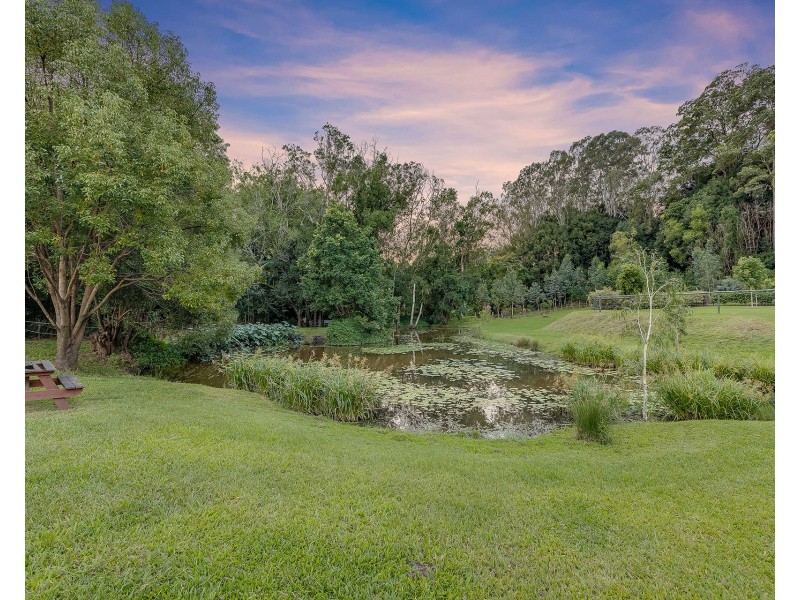 168 Diamond Valley Road, Diamond Valley QLD 4553