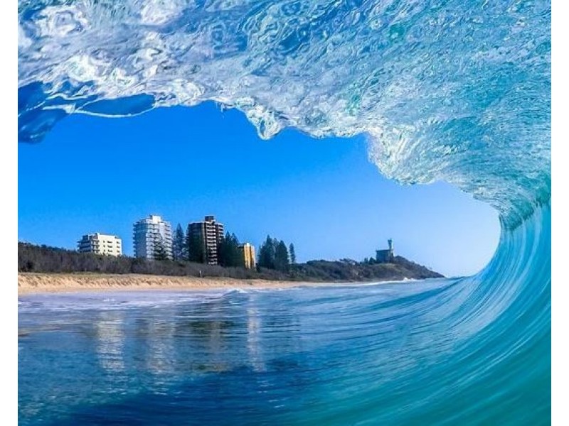 21 Barellan Avenue, Buddina QLD 4575