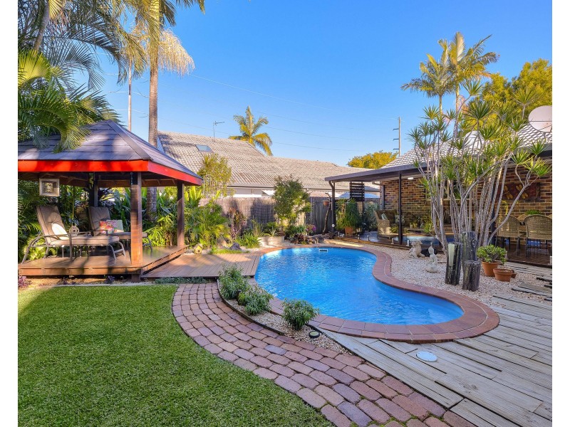 4 Haddys Close, Mountain Creek QLD 4557