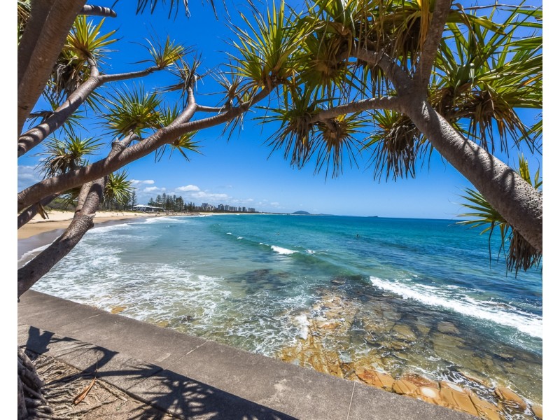 2/29 Pacific Terrace, Alexandra Headland QLD 4572