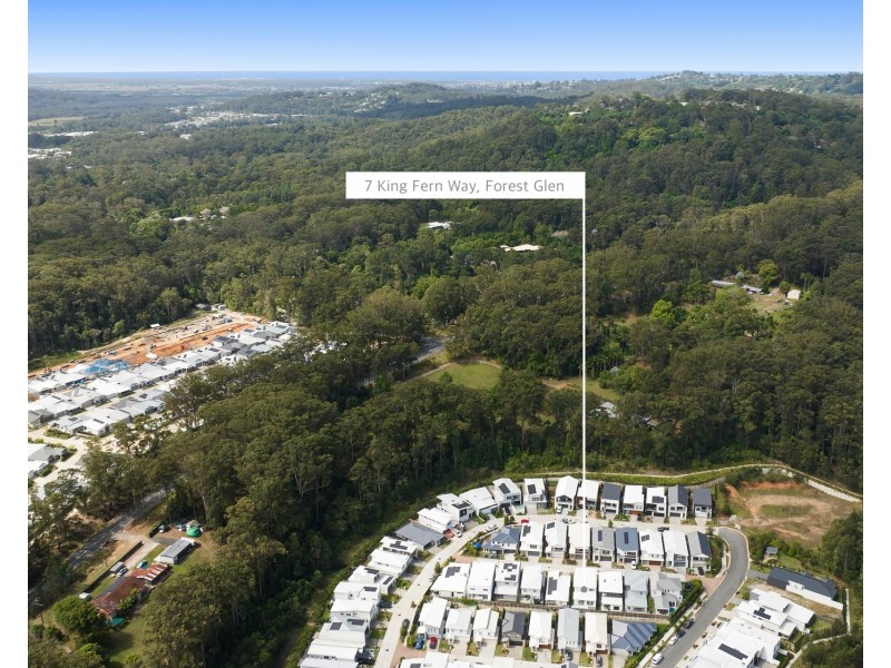 7 King Fern Way, Forest Glen QLD 4556