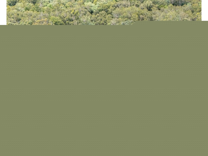 132 Stringybark Road, Buderim QLD 4556