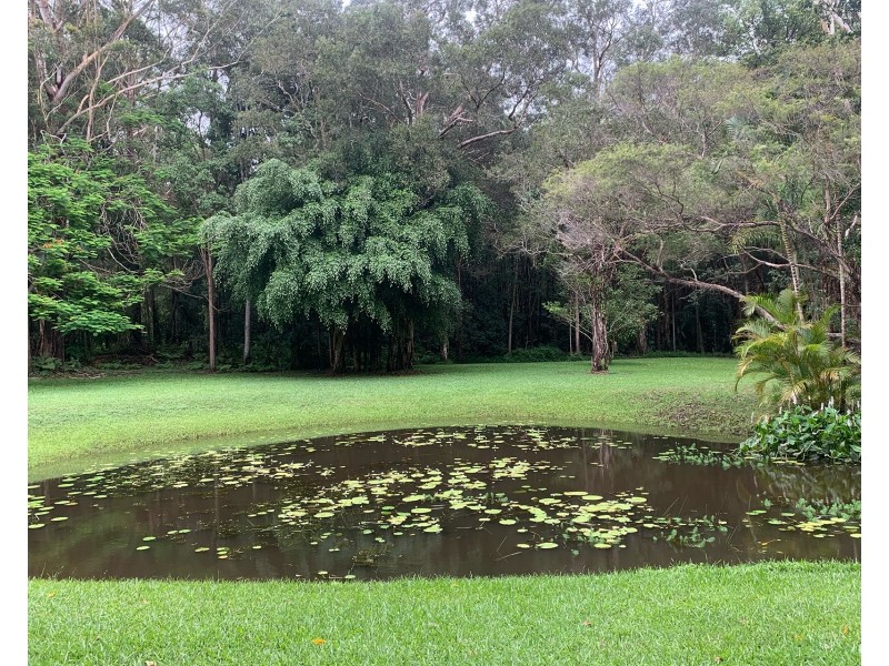 132 Stringybark Road, Buderim QLD 4556