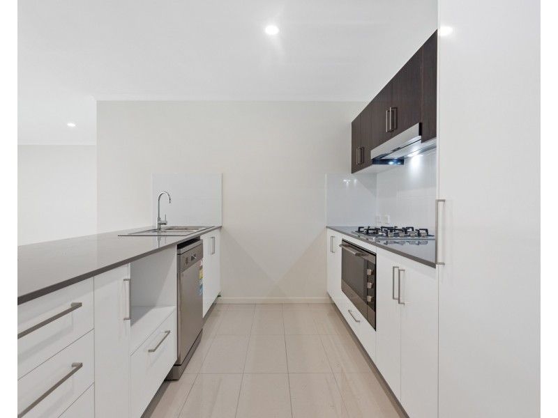 14 Wallum Street, Peregian Springs QLD 4573