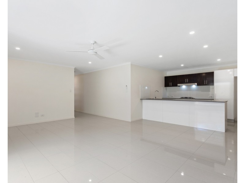 14 Wallum Street, Peregian Springs QLD 4573