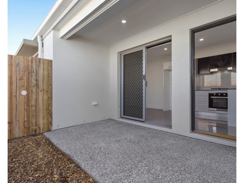 14 Wallum Street, Peregian Springs QLD 4573