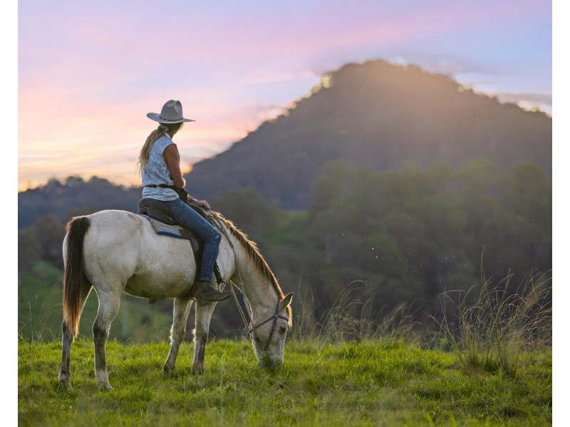 488 Commissioners Flat Road, Peachester QLD 4519