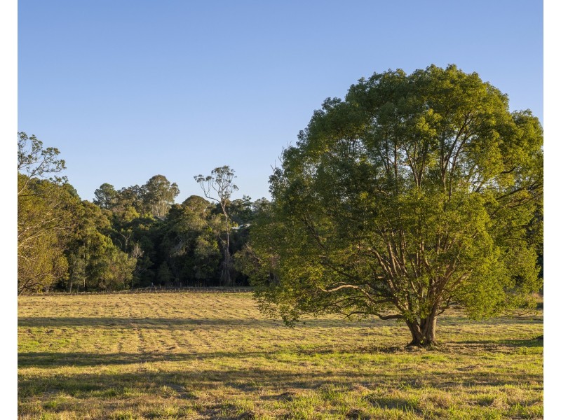 17 Serenity Place, Dulong QLD 4560