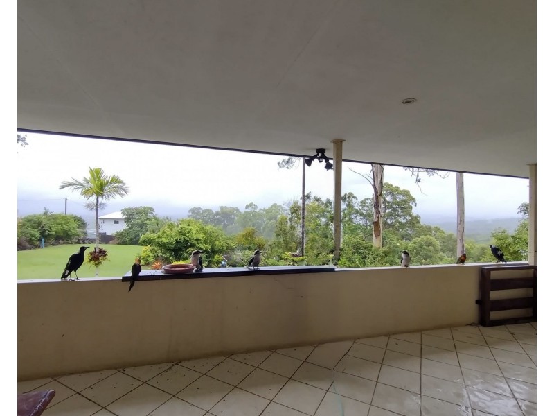 22 Dixon Road, Buderim QLD 4556