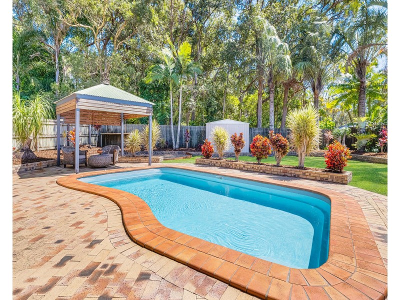 53 Molakai Drive, Mountain Creek QLD 4557