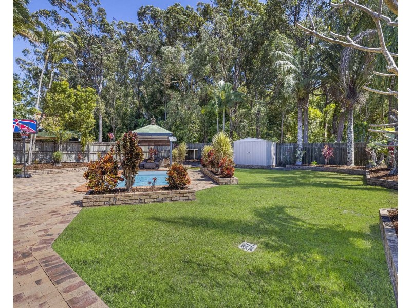 53 Molakai Drive, Mountain Creek QLD 4557