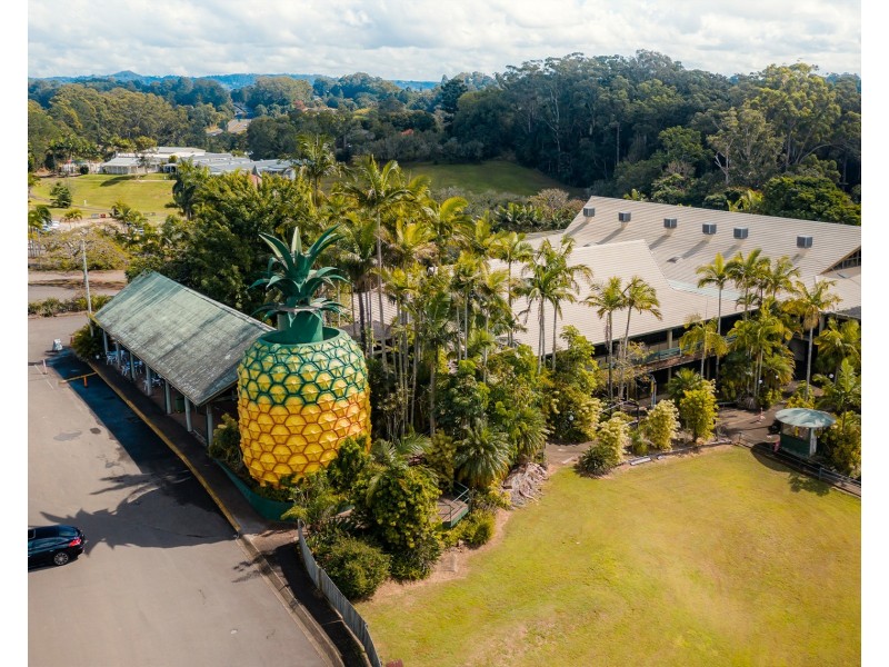 13 Northview Place, Woombye QLD 4559