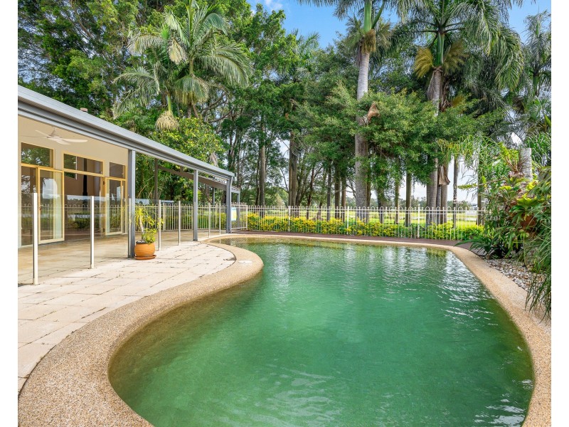 13 Hazeltine Court, Maroochydore QLD 4558