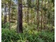 162-170 Tanawha Road, Tanawha QLD 4556