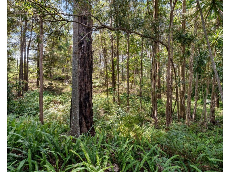 162-170 Tanawha Road, Tanawha QLD 4556