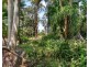 162-170 Tanawha Road, Tanawha QLD 4556
