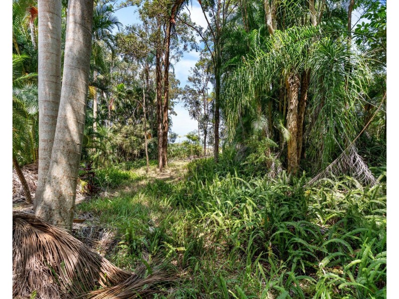 162-170 Tanawha Road, Tanawha QLD 4556