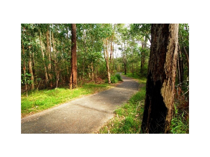 4 Satinwood Place, Mountain Creek QLD 4557