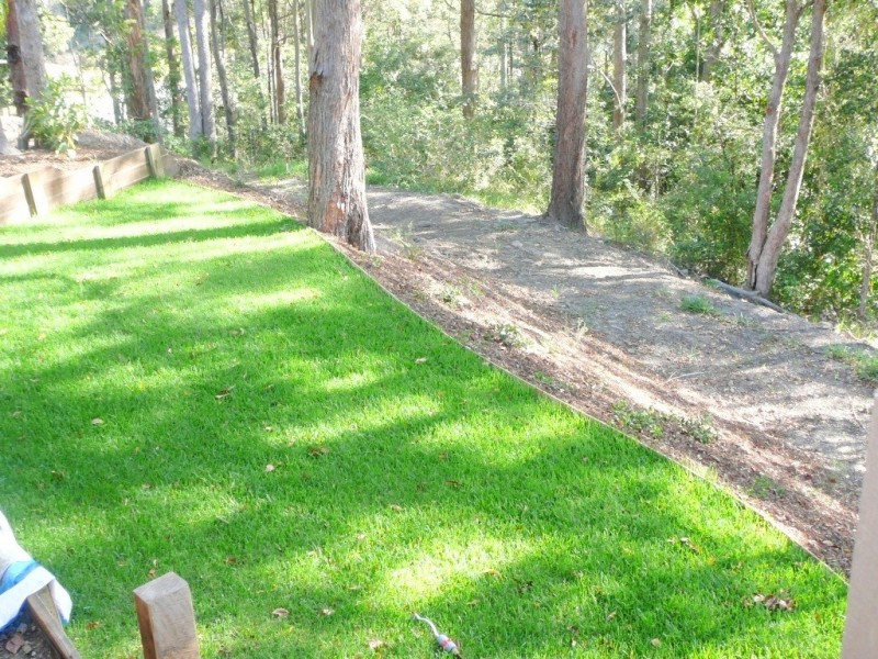 13 Cicada Close, Buderim QLD 4556