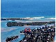 24 Picnic Point Esplanade, Maroochydore QLD 4558