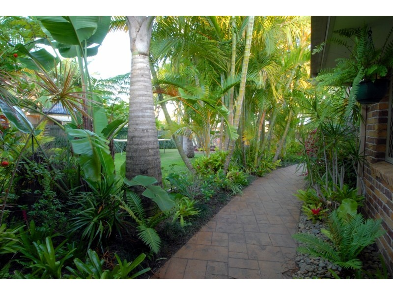 8 Waterford Court, Maroochydore QLD 4558